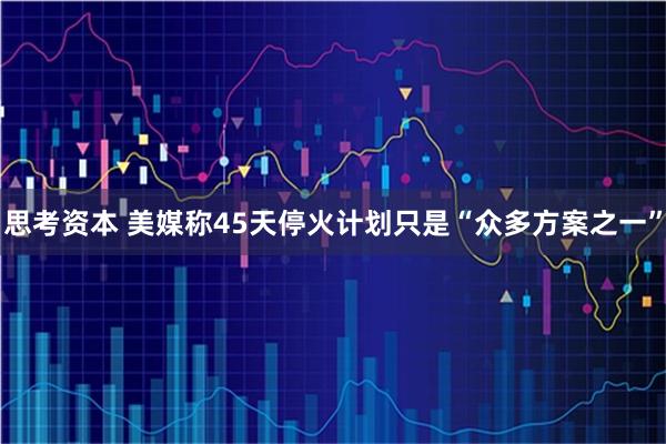 思考资本 美媒称45天停火计划只是“众多方案之一”